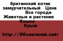 британский котик замурчательный › Цена ­ 12 000 - Все города Животные и растения » Кошки   . Крым